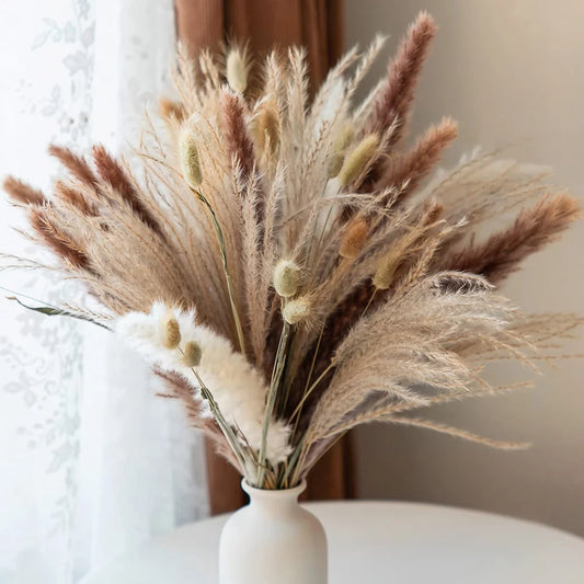 80 Pcs White Pampas Grass for Boho Home Room Decor, 17 Neutral Dried Pompas Flowers